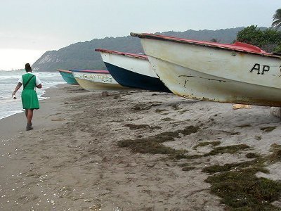 Lessons from Jamaica's Gun Violence